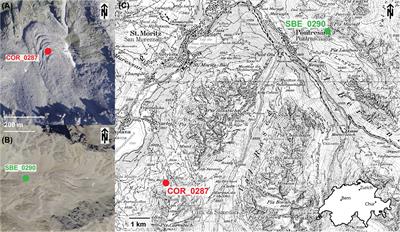 Air Convection in the Active Layer of Rock Glaciers